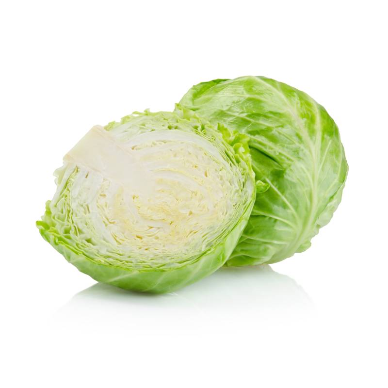 Cabbage Regular