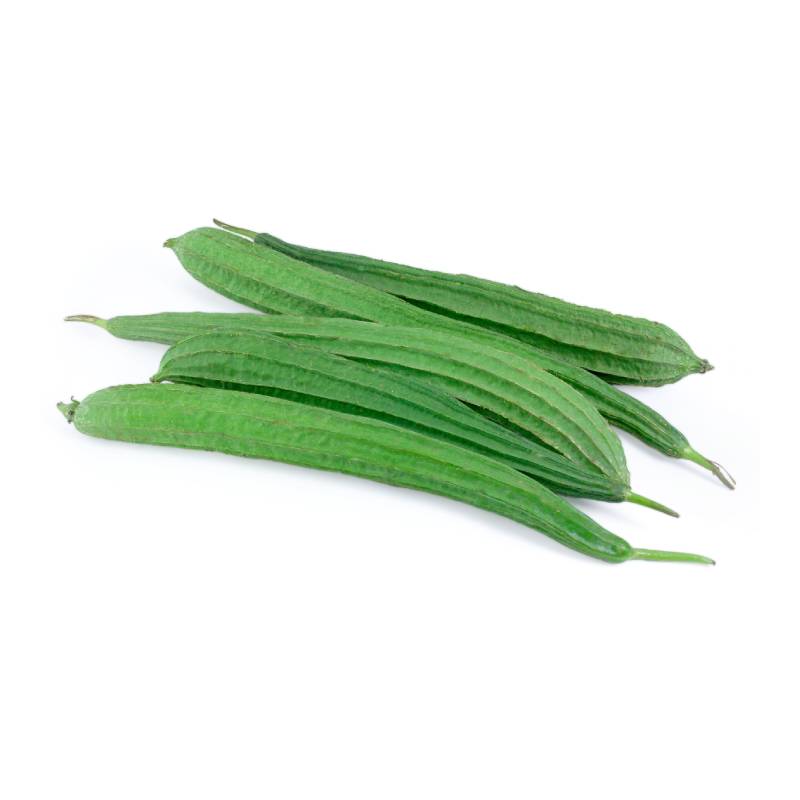 Radge Gourd