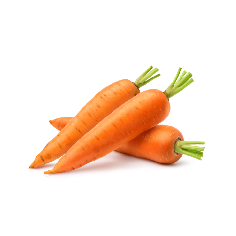 Carrot /Gajjara Gadda (గాజర గడ్డ) or Erramullangi (ఎర్రముల్లంగి)