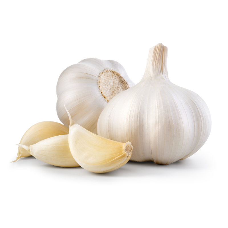 Garlic /Vellulli (వెల్లుల్లి)