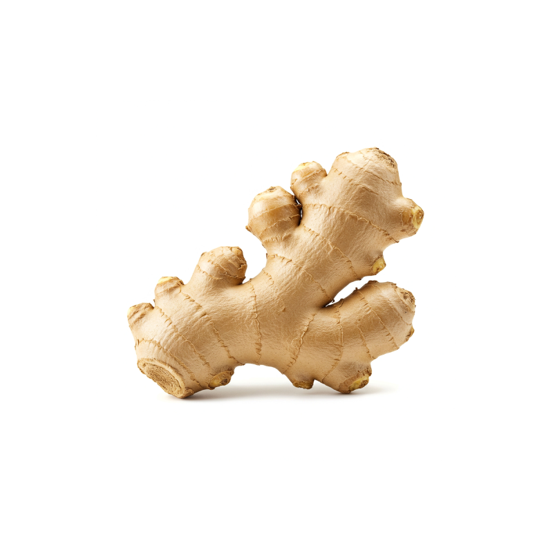 Ginger
