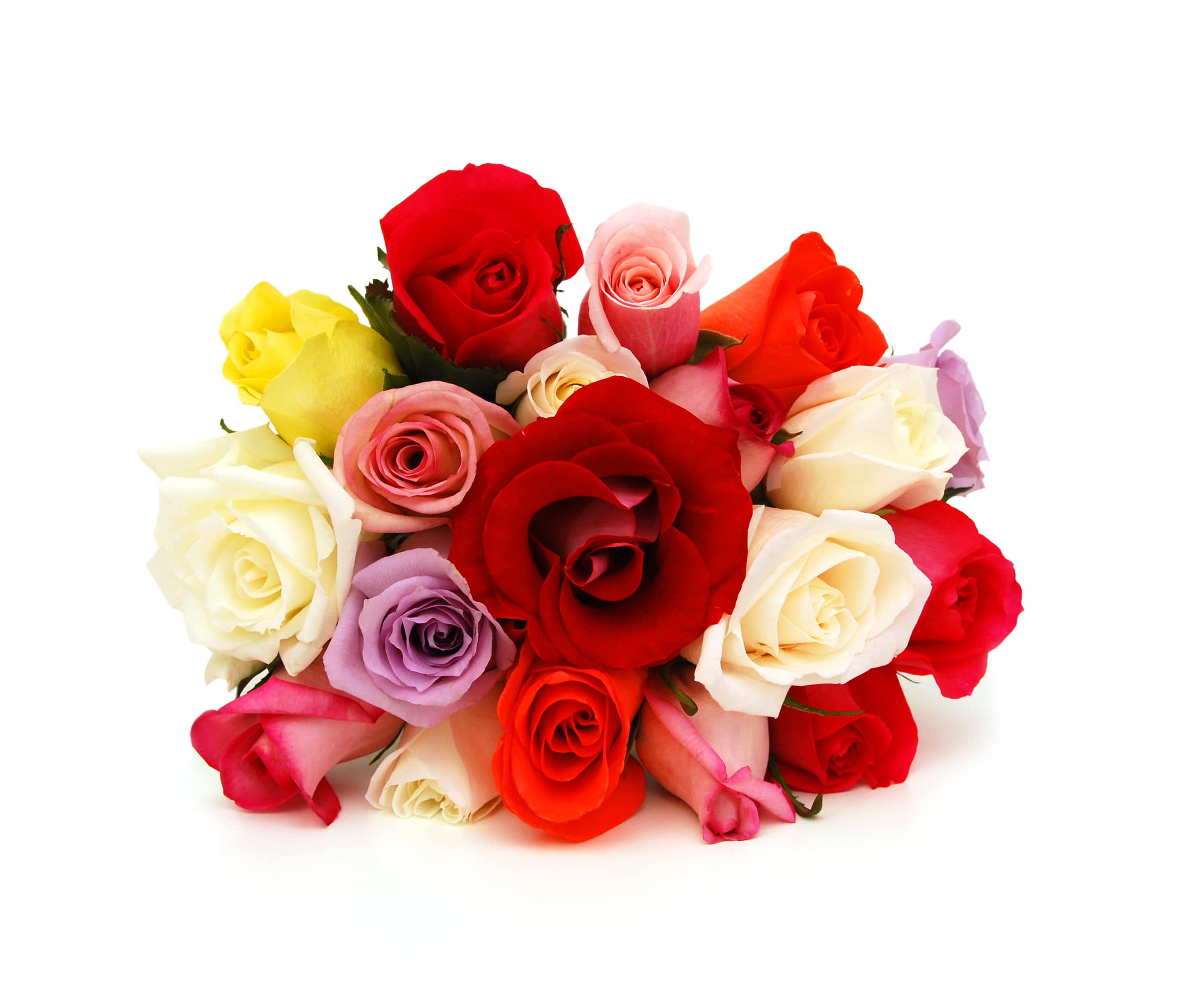 Assorted Roses